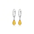 Clara Leverback Briolette Earrings detail image — Veroni