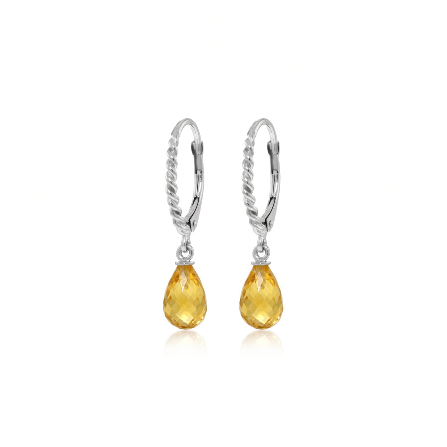 Clara Leverback Briolette Earrings detail image — Veroni