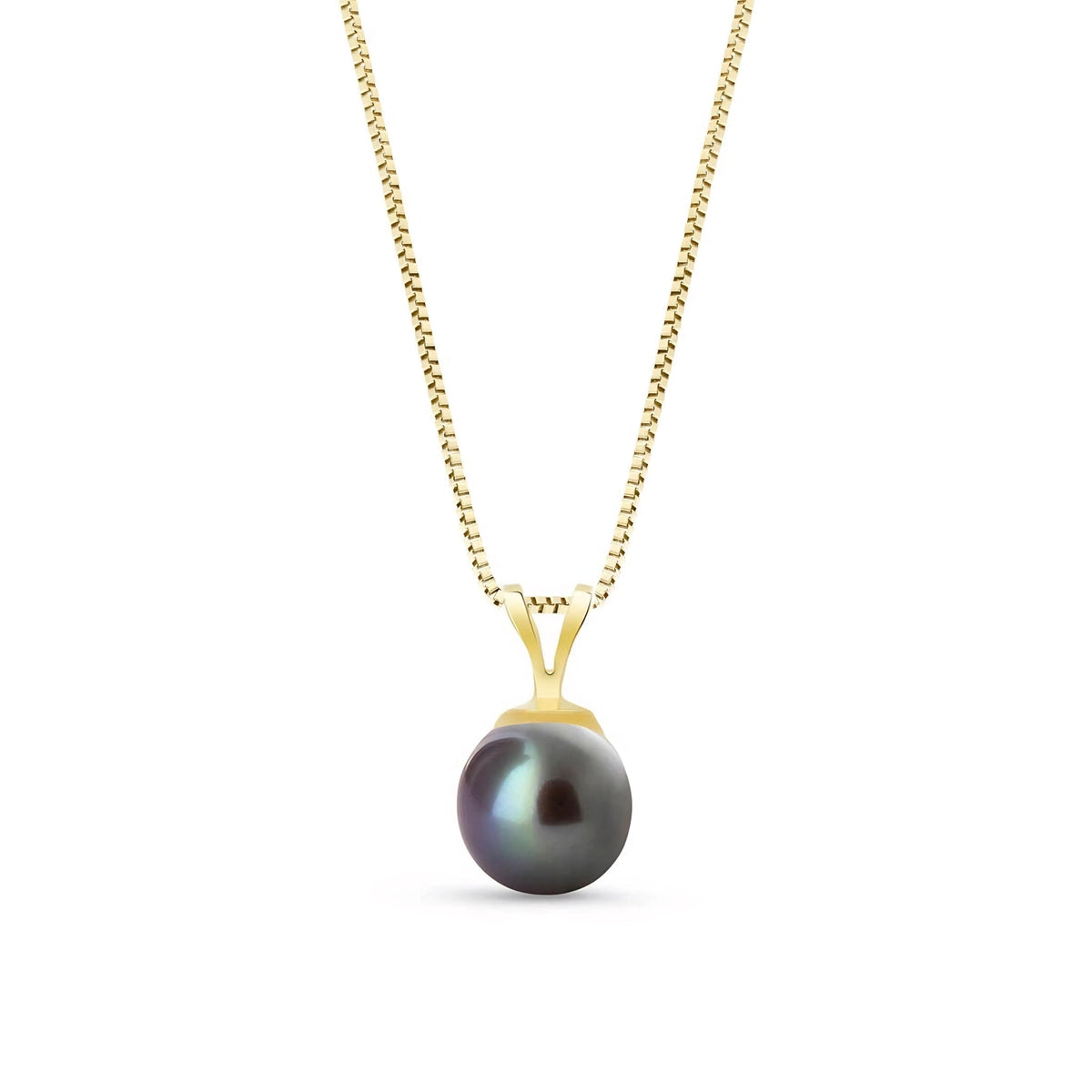 Yellow Gold Aura Necklace Pearl 10K — Cassandra